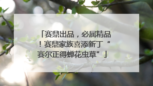 赛鼎出品，必属精品！赛鼎家族喜添新丁“赛尔正得蝉花虫草”