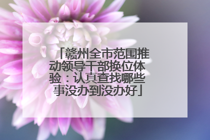 赣州全市范围推动领导干部换位体验：认真查找哪些事没办到没办好