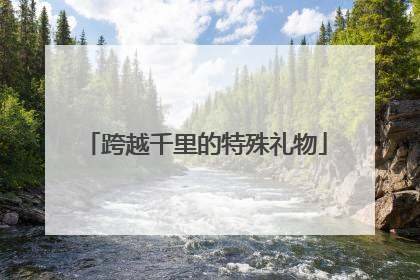 跨越千里的特殊礼物