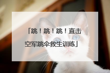 跳！跳！跳！直击空军跳伞救生训练