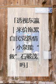 透视东瀛｜米价拖累自民党选情，小泉能“救”石破茂吗
