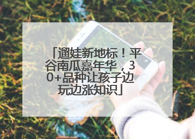 遛娃新地标！平谷南瓜嘉年华，30+品种让孩子边玩边涨知识