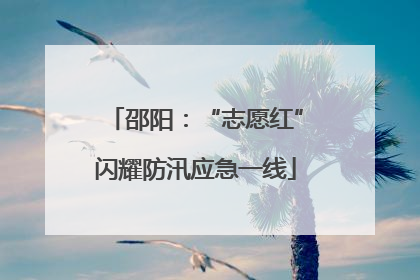 邵阳：“志愿红”闪耀防汛应急一线