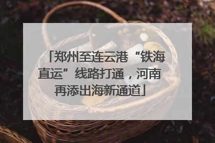 郑州至连云港“铁海直运”线路打通，河南再添出海新通道