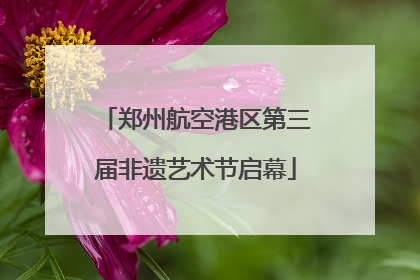 郑州航空港区第三届非遗艺术节启幕