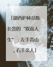 郧西护林员陈长贵的“双面人生”：左手青山，右手亲人
