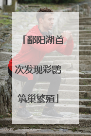 鄱阳湖首次发现彩鹮筑巢繁殖