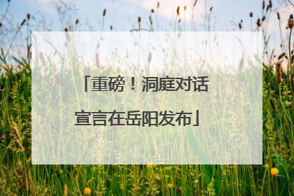 重磅！洞庭对话宣言在岳阳发布