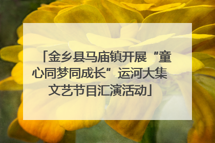金乡县马庙镇开展“童心同梦同成长”运河大集文艺节目汇演活动
