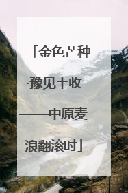 金色芒种·豫见丰收——中原麦浪翻滚时