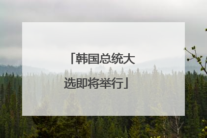 韩国总统大选即将举行