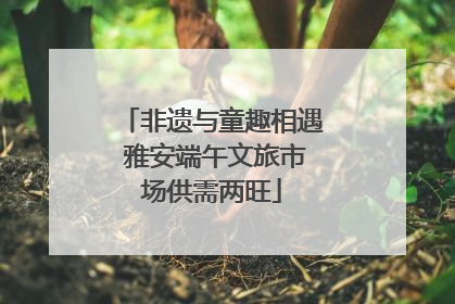 非遗与童趣相遇 雅安端午文旅市场供需两旺