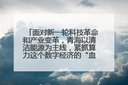 面对新一轮科技革命和产业变革，青海以清洁能源为主线，紧抓算力这个数字经济的“血液”、科技主权的“筹码”、产业升级的“杠杆”、绿色转型的“支点”，勇于撬动国家“双碳”战略、“东数西算”工程重大发展新机遇，点亮绿色算电协同新赛道，蹚出一条符合本地实际的高质量发展之路——青海：“绿色算力” 锚定“东数西算”国家战略布局