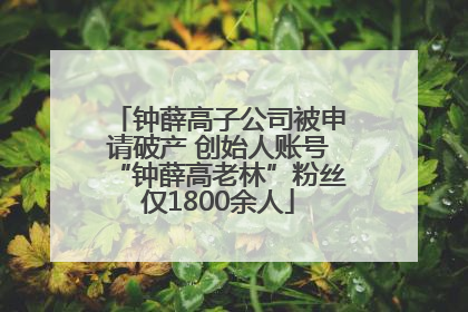 钟薛高子公司被申请破产 创始人账号“钟薛高老林”粉丝仅1800余人
