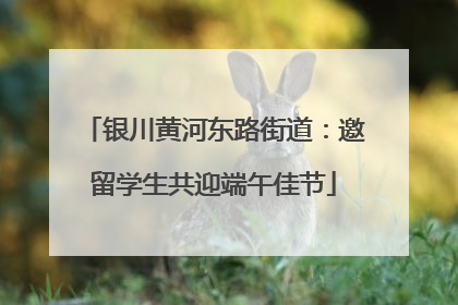 银川黄河东路街道：邀留学生共迎端午佳节
