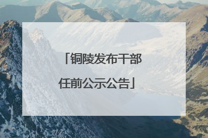 铜陵发布干部任前公示公告