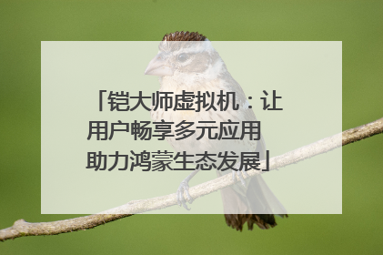 铠大师虚拟机：让用户畅享多元应用 助力鸿蒙生态发展