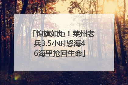 锦旗如炬！莱州老兵3.5小时怒海46海里抢回生命