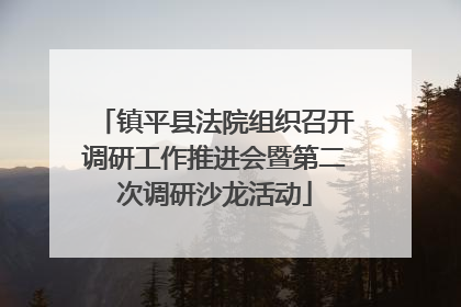 镇平县法院组织召开调研工作推进会暨第二次调研沙龙活动