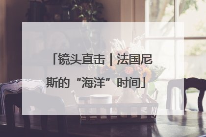 镜头直击｜法国尼斯的“海洋”时间
