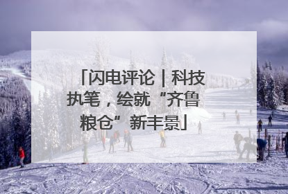 闪电评论｜科技执笔，绘就“齐鲁粮仓”新丰景