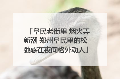 阜民老街里 烟火弄新潮 郑州阜民里的松弛感在夜间格外动人