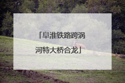 阜淮铁路跨涡河特大桥合龙