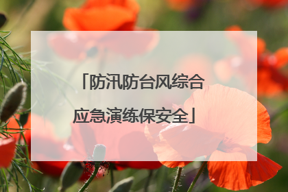 防汛防台风综合应急演练保安全