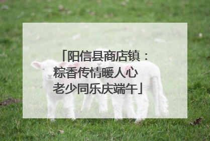 阳信县商店镇：粽香传情暖人心 老少同乐庆端午