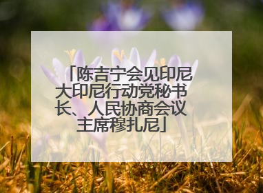 陈吉宁会见印尼大印尼行动党秘书长、人民协商会议主席穆扎尼
