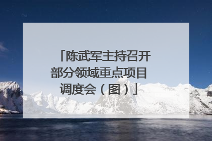 陈武军主持召开部分领域重点项目调度会（图）