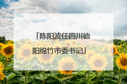 陈阳波任四川德阳绵竹市委书记