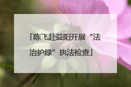 陈飞赴益阳开展“法治护绿”执法检查