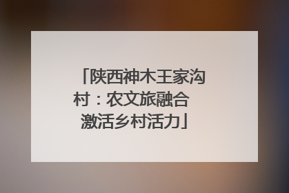 陕西神木王家沟村：农文旅融合 激活乡村活力