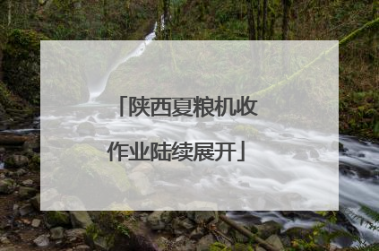 陕西夏粮机收作业陆续展开