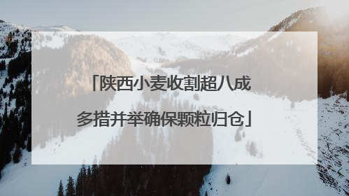 陕西小麦收割超八成 多措并举确保颗粒归仓