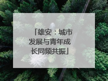 雄安：城市发展与青年成长同频共振