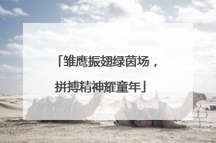 雏鹰振翅绿茵场，拼搏精神耀童年