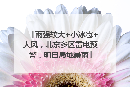 雨强较大+小冰雹+大风，北京多区雷电预警，明日局地暴雨