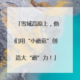 雪域高原上，他们用“小蘑菇”创造大“蘑”力！
