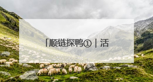 顺链探鸭①｜活鸭20元一斤，街头烤鸭为何却能卖到20多元一只