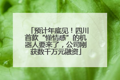 预计年底见！四川首款“懂情感”的机器人要来了，公司刚获数千万元融资