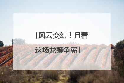 风云变幻！且看这场龙狮争霸