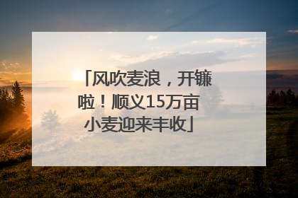 风吹麦浪，开镰啦！顺义15万亩小麦迎来丰收