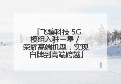 飞骧科技 5G 模组入驻三星 / 荣耀高端机型，实现白牌到高端跨越