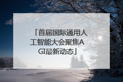 首届国际通用人工智能大会聚焦AGI最新动态