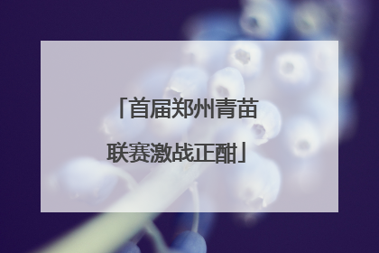 首届郑州青苗联赛激战正酣