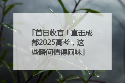 首日收官！直击成都2025高考，这些瞬间值得回味
