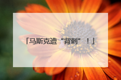 马斯克遭“背刺”！