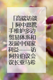 高端访谈｜阿中愿携手维护多边贸易体系和发展中国家利益——访阿拉伯议会议长亚马希